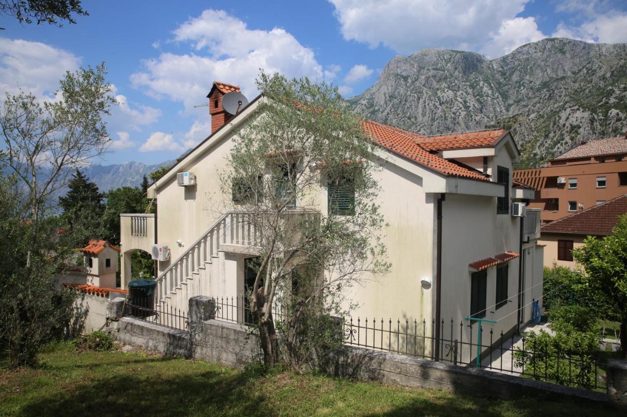 Dijana 2 Kotor